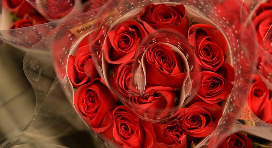 Floricultura, sostenibilidad, Florverde, sustainable flowers, Asocolflores, flores, Agricultura Sostenible